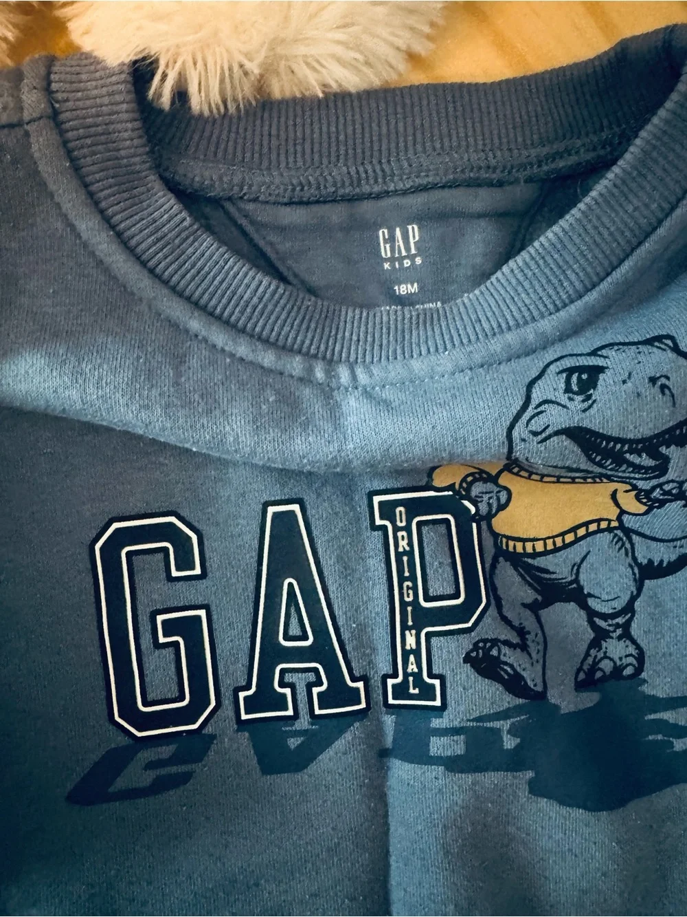 GAP 24Months Toddler Boy Sweatshirt & Joggers Set